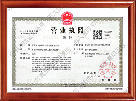 PG娱乐
科技营业执照副本